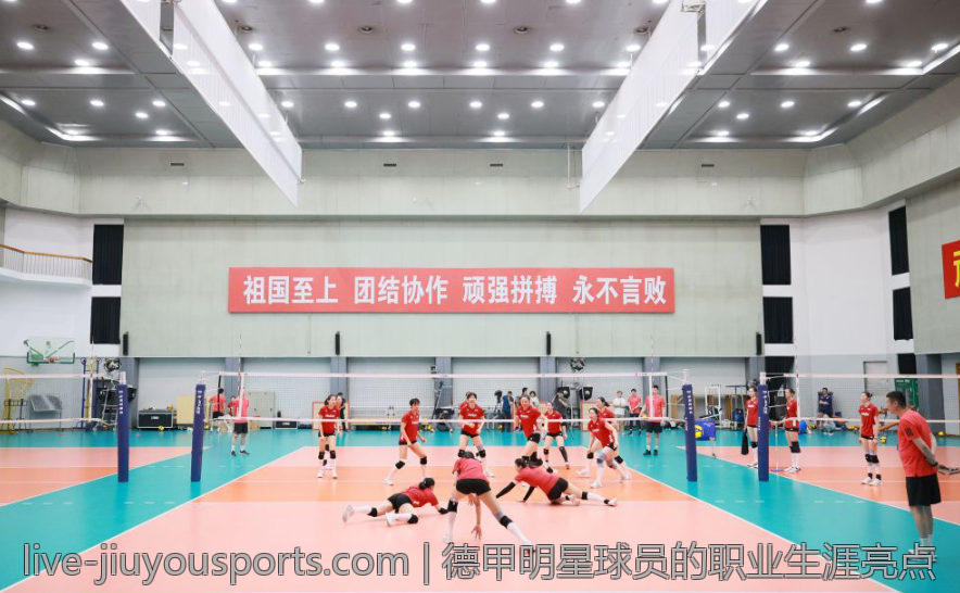 德甲明星球员的职业生涯亮点
