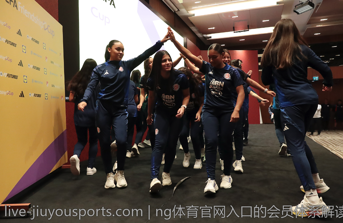 ng体育官网入口的会员体系解读